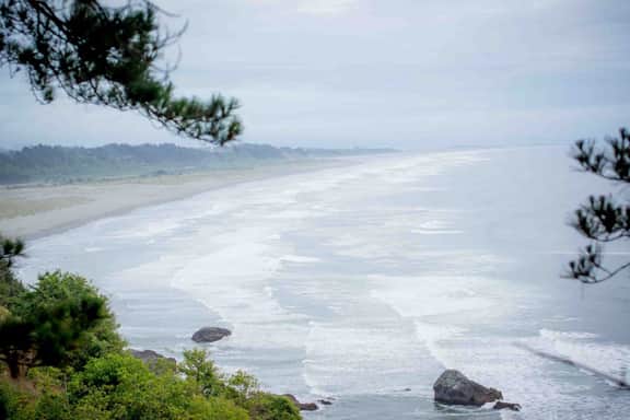 Seaside Meadow - Peaceful Coastal Retreat Surrounded by Nature - Image 3